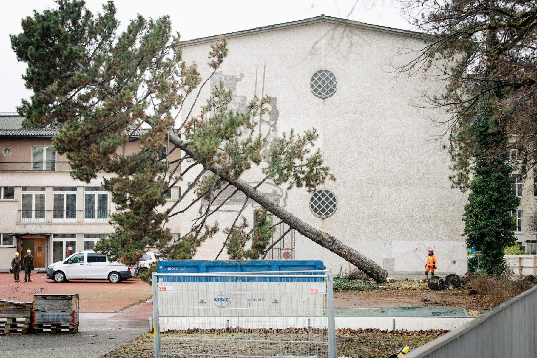 Ein gefällter Baum lehnt an der Turnhallenwand – Arbeiter in orangefarbener Schutzkleidung sichert das Gelände.