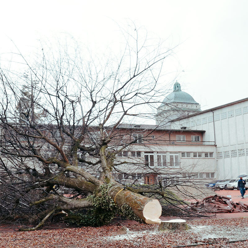 FORUM UZH Thumbnail Baustart 01